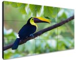 ЖК-панель для видеостены Exell EXPD-WI453AM 49"