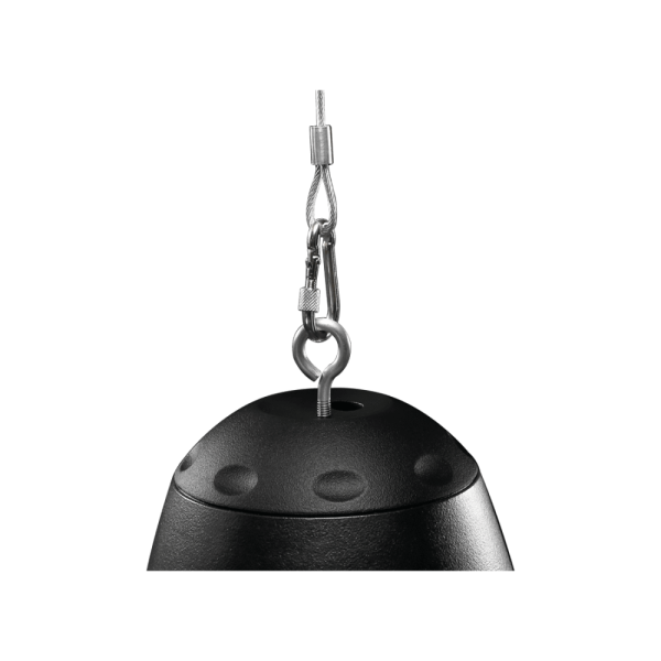 Пассивная акустическая система NEXT Audiocom P6 W, Black — изображение 2