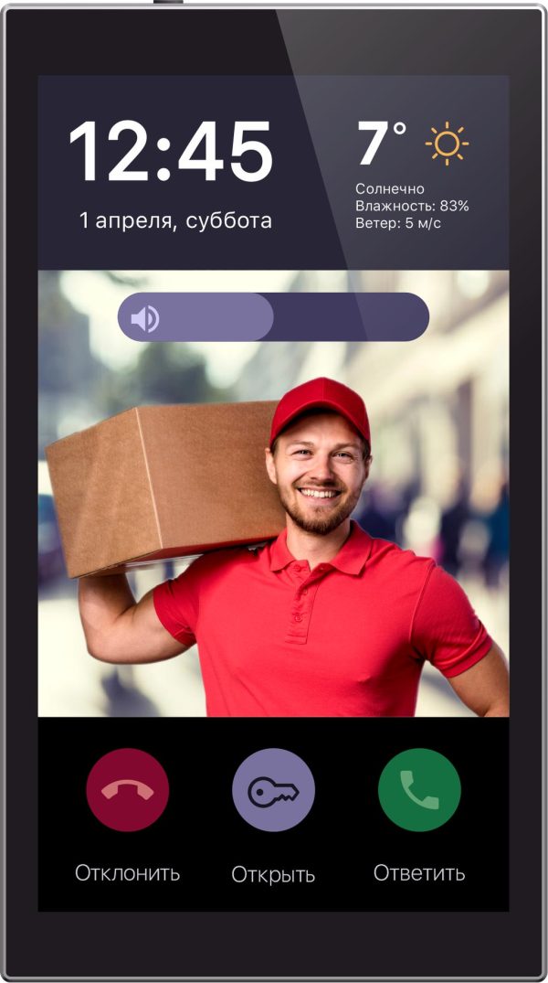 Панель настенная iRidi 6" Touch Panel P6-mb — изображение 4