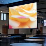 Draper Paragon/V HDTV (9:16) 762/300" 371*660 XT1000V (M1300) ebd 12"