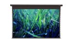 ViewScreen Regal (16:10) 608*410 (592*370) PW, black casing (с пультом)