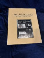 Сетевая акустическая система Bluesound Professional BSP125 BLK — изображение 3